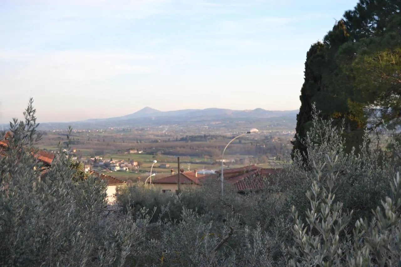 Opera21 Tuscany Single House Lucignano Holiday home