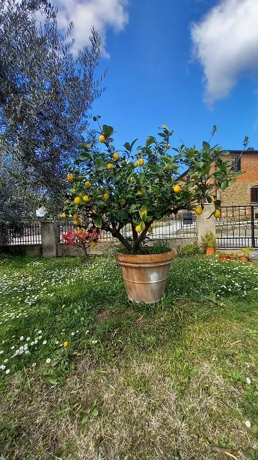 Opera21 Tuscany Single House Lucignano 0*,  Italy